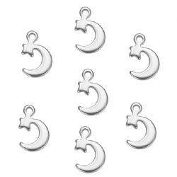 Stainless Steel Pendant charm 8x11mm